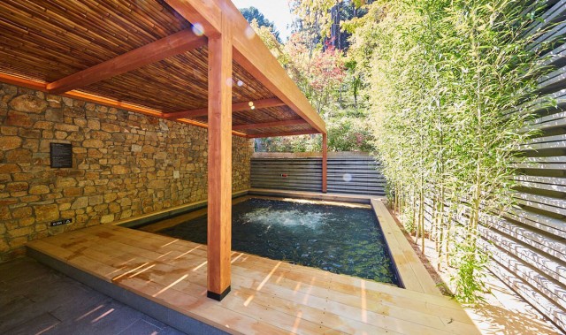 “自开业以来仅提供单道菜菜单赢得了美食家的